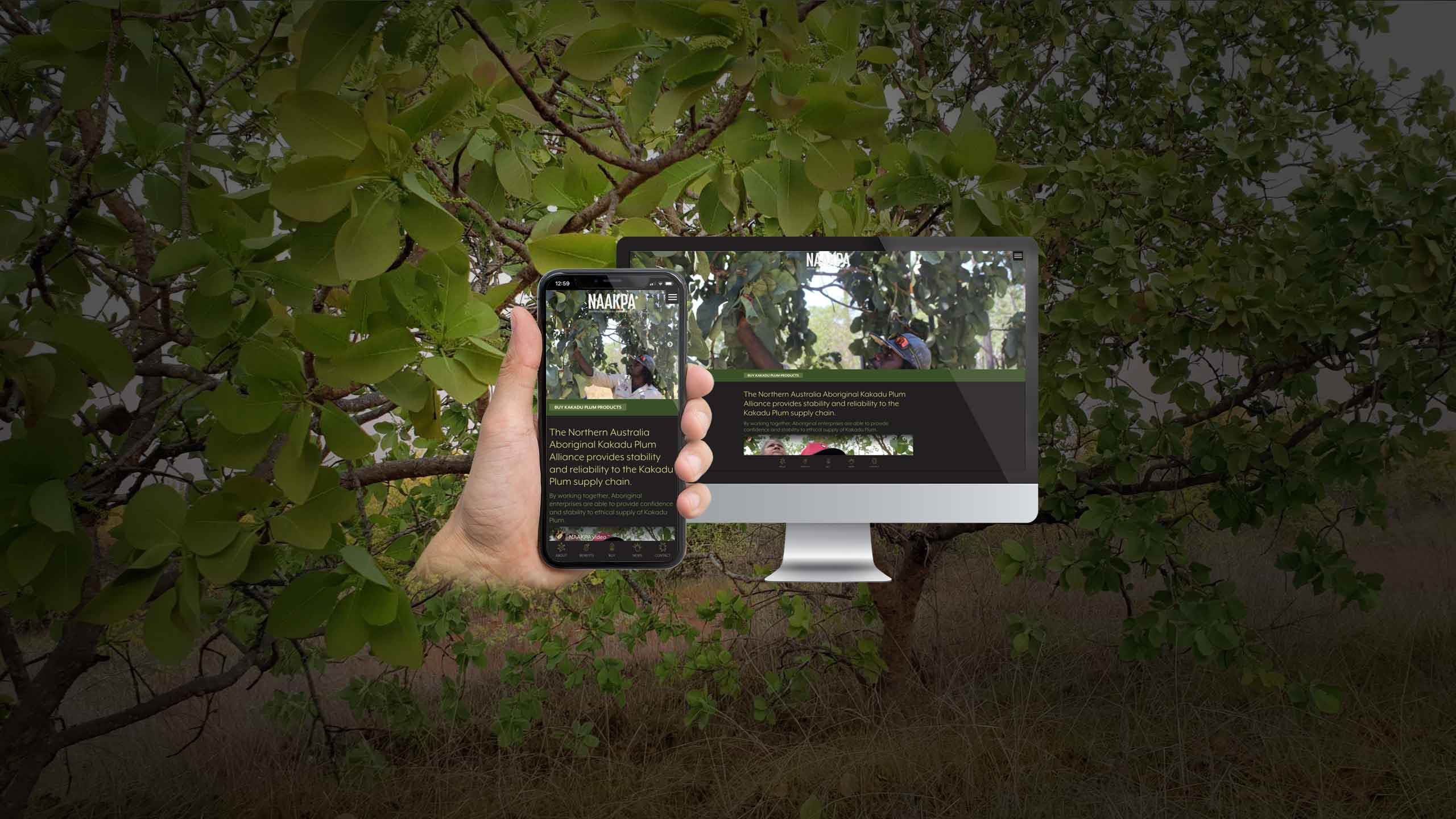 NAAKPA website on desktop and smartphone amid Kakadu plum trees