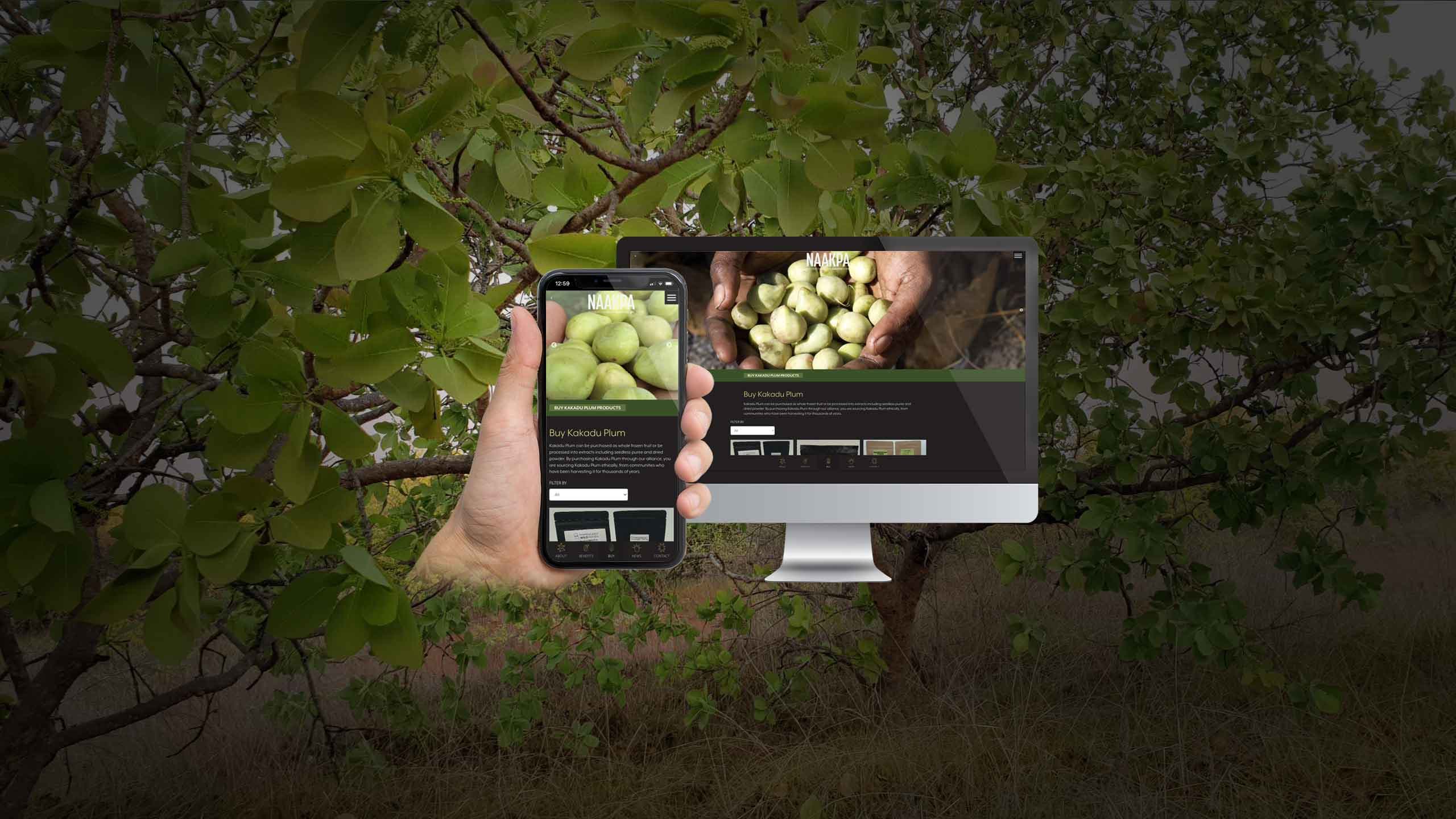 NAAKPA Buy Kakadu Plum page on desktop and smartphone amid Kakadu plum trees