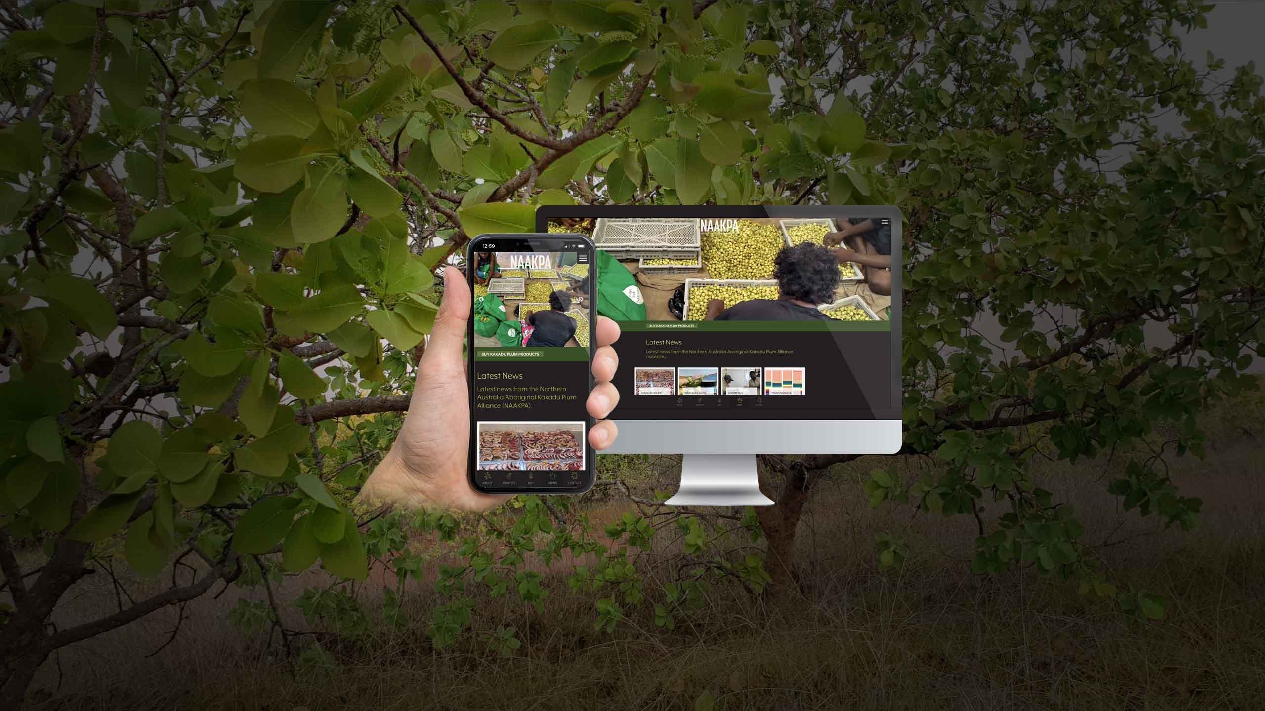 NAAKPA News page on desktop and smartphone amid Kakadu plum trees