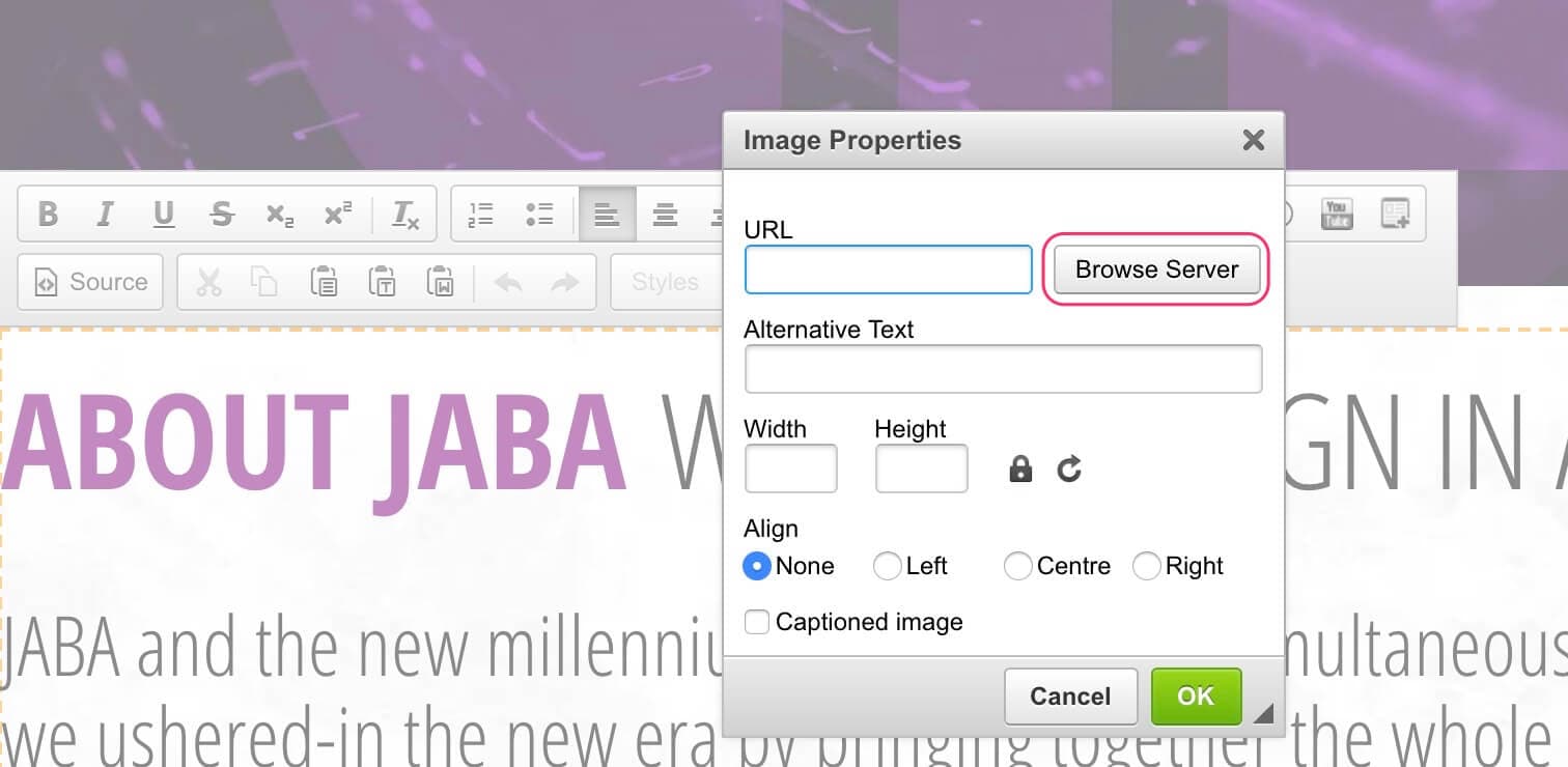 JABA CMS image properties dialog with the Browse Server button highlighted