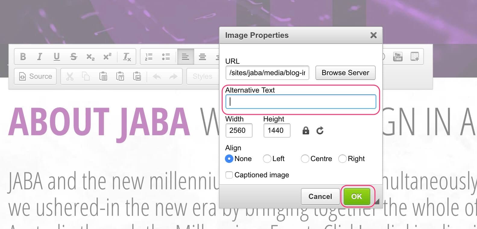 JABA CMS image properties dialog with the Alternative Text field highlighted