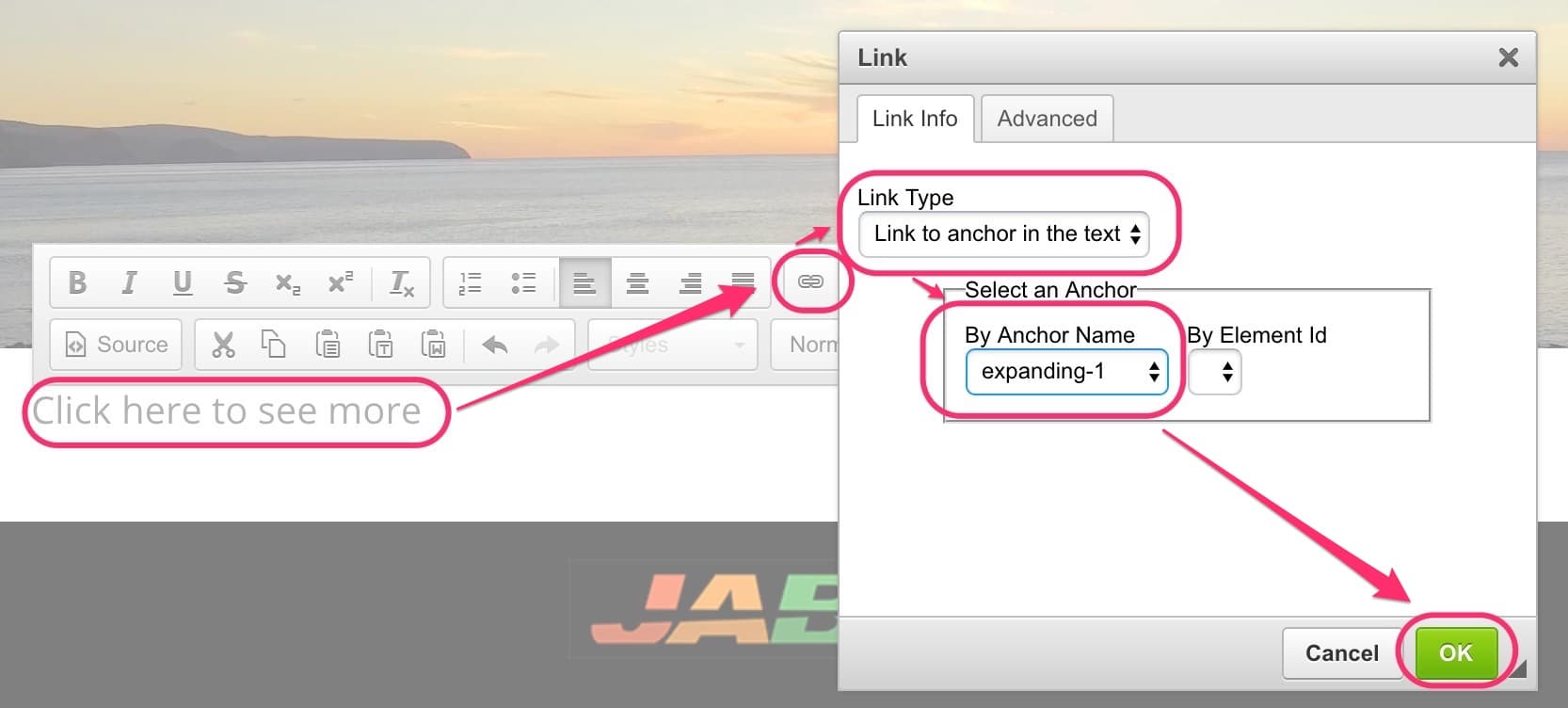 JABA CMS link dialog set to link to an anchor in the text, with the anchor name selected