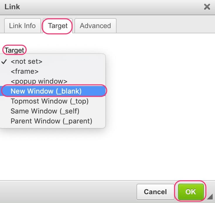 JABA CMS link dialog Target tab with New Window (_blank) selected