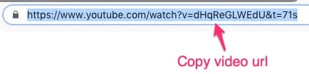 Browser address bar showing a YouTube video URL highlighted for copying