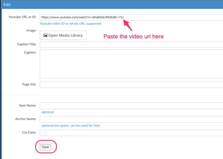 JABA CMS video panel edit screen with the YouTube URL field highlighted for pasting a video link