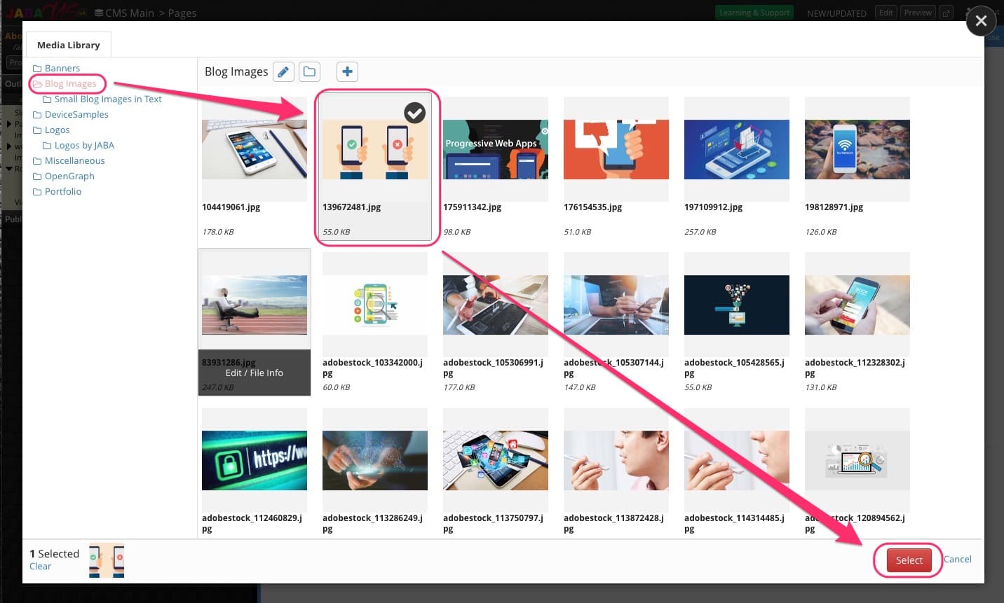 JABA CMS Media Library Blog Images folder with an image selected for the page banner