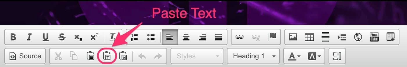 CMS text editor toolbar with the Paste Text button highlighted