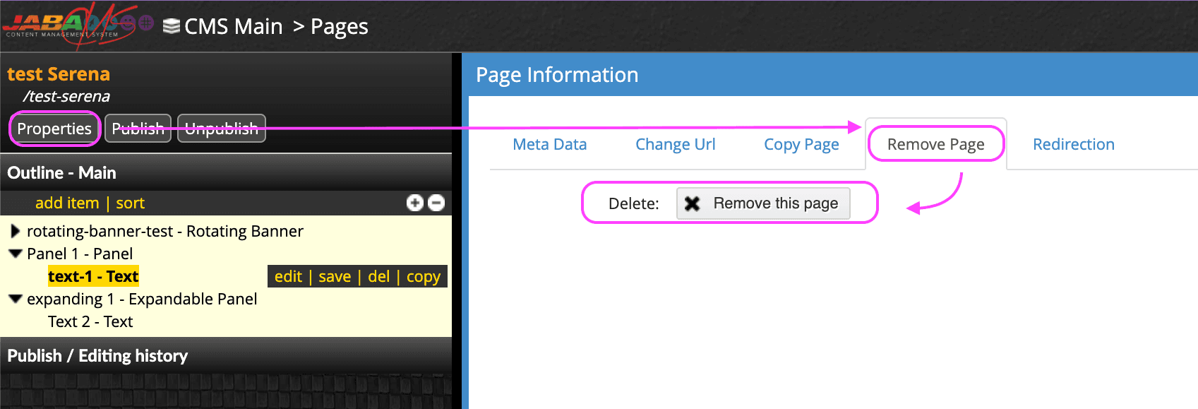 JABA CMS screenshot showing the Remove Page tab and Remove this page button