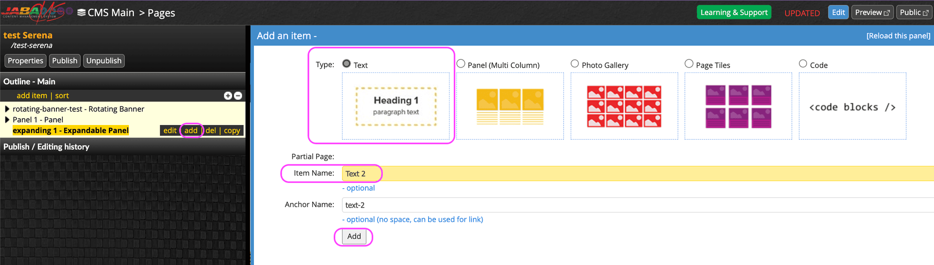 JABA CMS add item screen with Text type selected and named Text 2