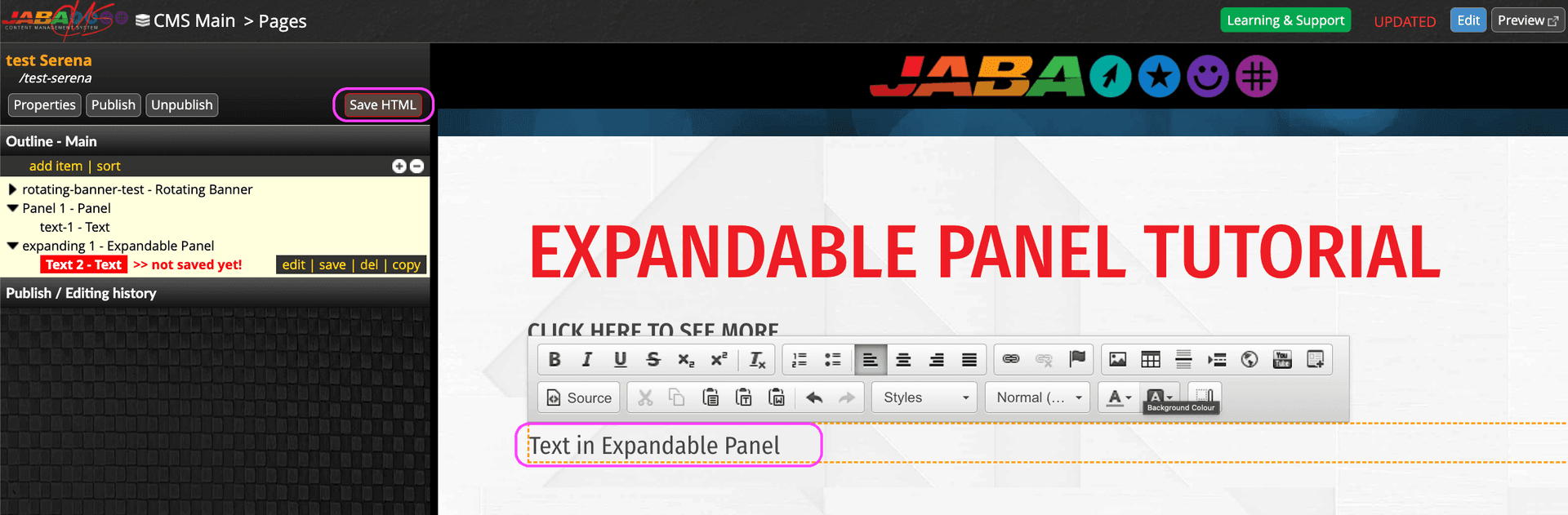JABA CMS text editor showing sample text added inside an expandable panel