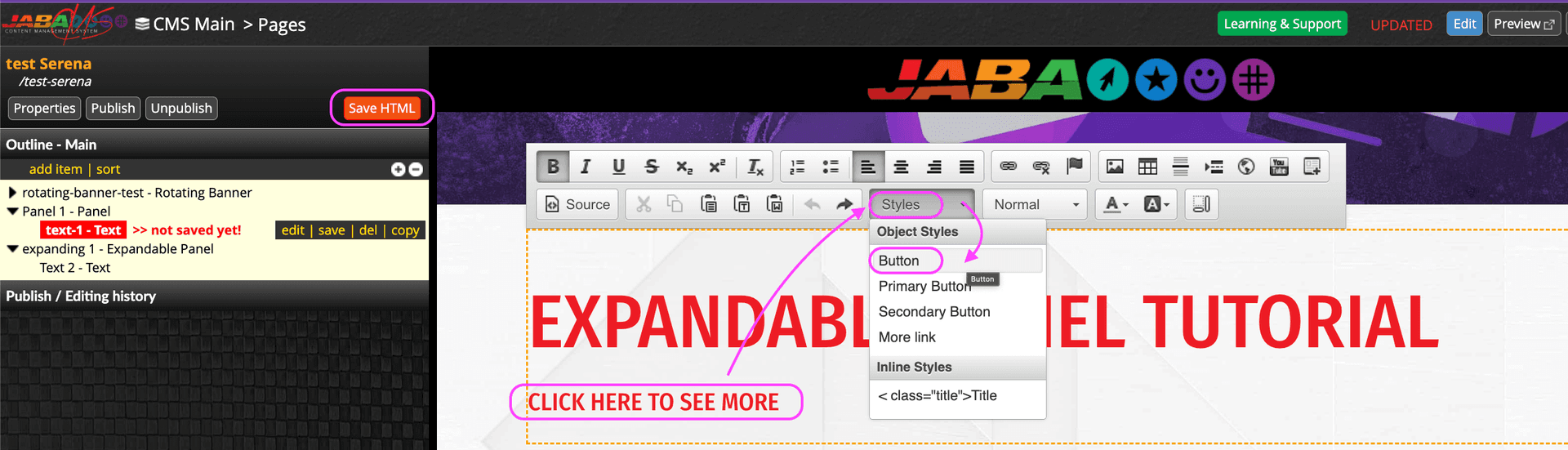 JABA CMS Styles menu with the Button style option highlighted