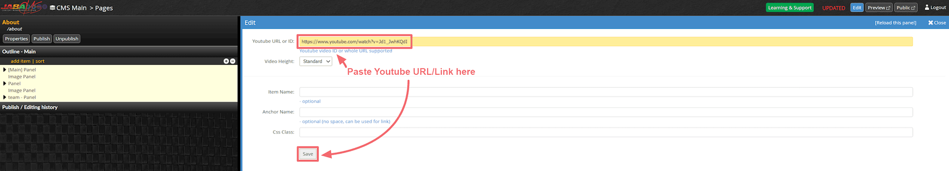 JABA CMS video panel edit screen with the YouTube URL pasted into the field