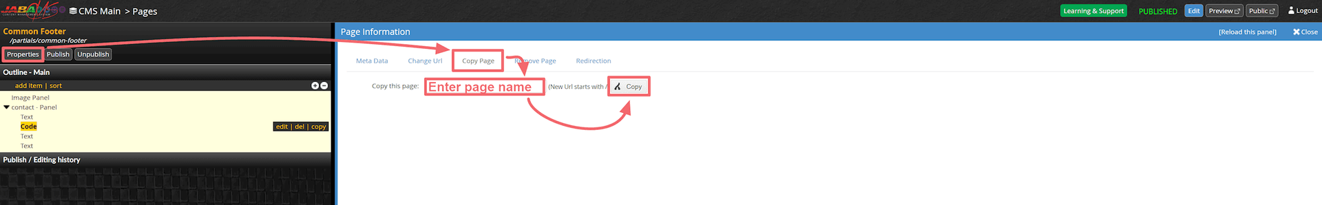 JABA CMS page information screen with the Copy Page tab highlighted